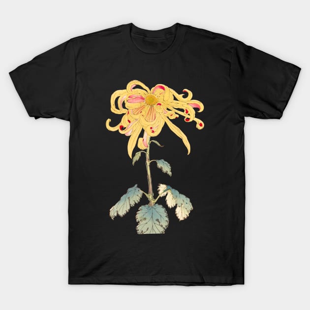 Gold Chrysanthemum 2 - Hasegawa - Traditional Japanese style - Botanical Illustration T-Shirt by chimakingthings